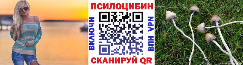как найти закладки  Троицк  shop Telegram  Псилоцибиновые грибы Psilocybine cubensis 